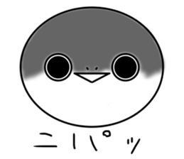 605886873