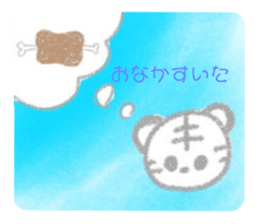605888223