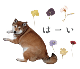 605888972
