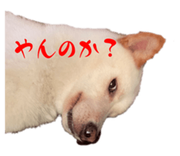605889124