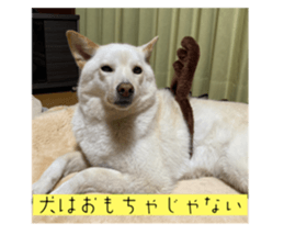 605889130