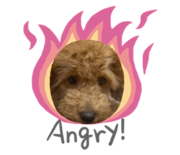 605932917