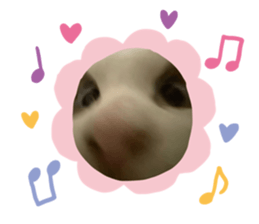 605952935