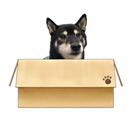 605955147