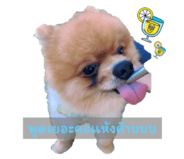 605967155