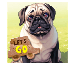 605994164