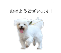 606045046