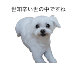 606045051
