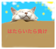 606083182