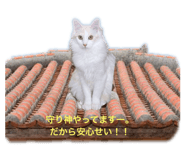 606083188