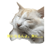 606085413