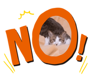 606124959