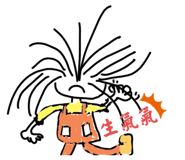 606156040