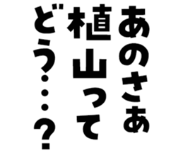 606186684