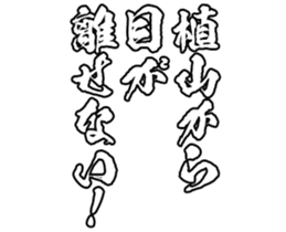 606186699