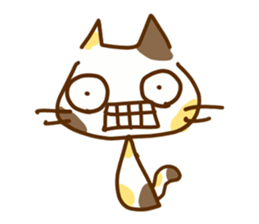 6062081