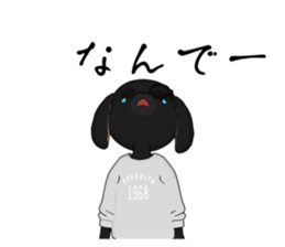 606216802
