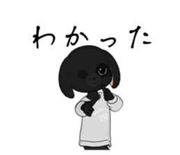 606216808