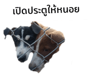 606228986