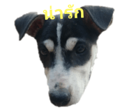 606228988
