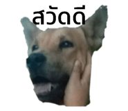 606228989