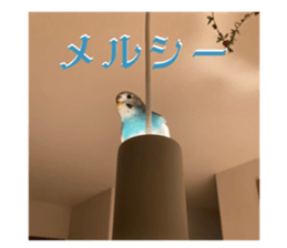 606238561