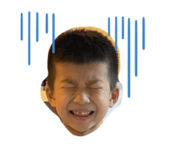 606242817