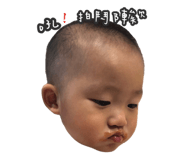 60625162
