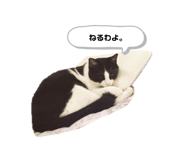 606303145