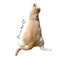 606304197