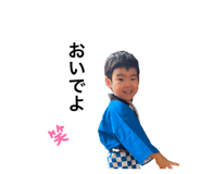 606336816