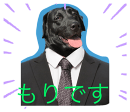 606390478