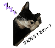 606406614