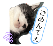 606406621