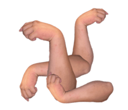606430053