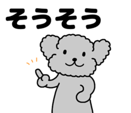 606447548