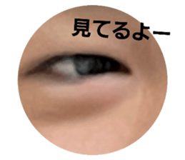606449381