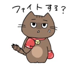 606482243