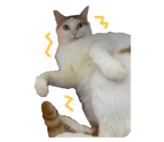 606521726