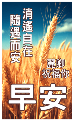 606524981