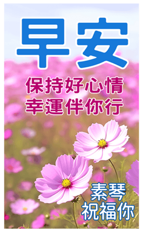 606525564