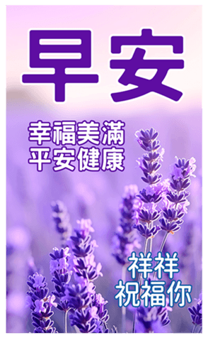 606525631