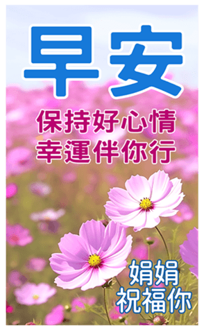 606526204