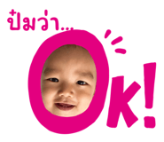 606536254