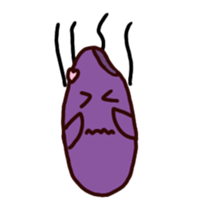 606552091