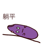 606552094
