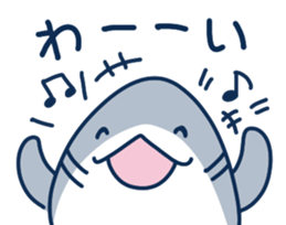 606552537