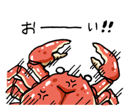 6065664