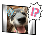 606566583