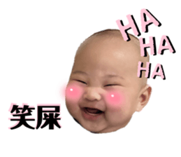 606567260